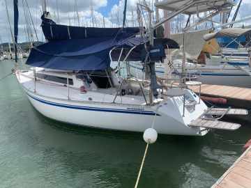 Velamar 31