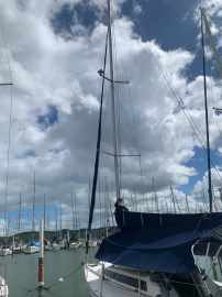 Velamar 31
