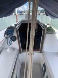 Velamar 31