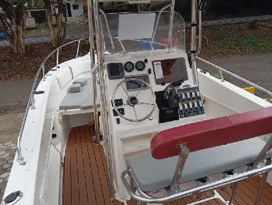 Clique para visualizar Fishing 265