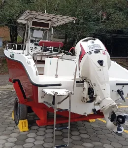 Clique para visualizar Fishing 265