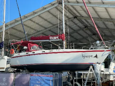 Clique para visualizar MJ 33