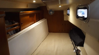 Delta 41