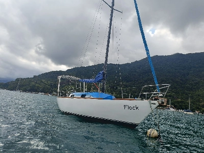 Flamingo 32