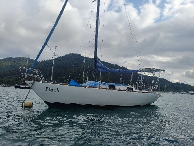 Flamingo 32