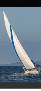 Clique para visualizar Delta 26