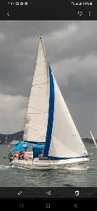 Clique para visualizar Delta 26