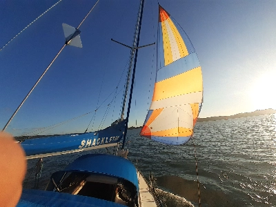 Clique para visualizar Delta 26