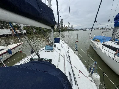 Clique para visualizar Bramador 34