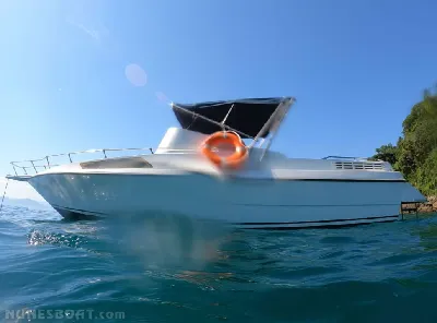 Clique para visualizar Cimitarra 250