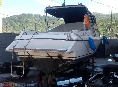 Clique para visualizar Cimitarra 250