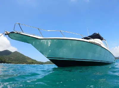 Clique para visualizar Cimitarra 250