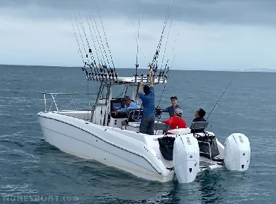 Clique para visualizar CATAMARÃ SEDNA 27