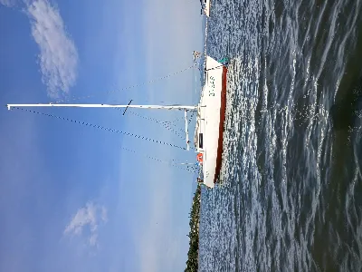 Clique para visualizar Fast 230