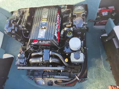 Clique para visualizar Bayliner Capri 18,5'