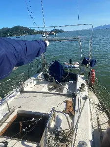 Clique para visualizar MJ 38