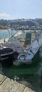 Clique para visualizar Focker 215