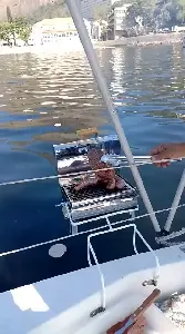 Clique para visualizar Atoll 23