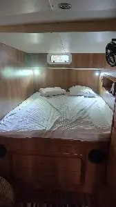 Clique para visualizar Dolphin 430