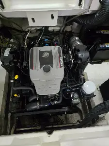 Clique para visualizar Bayliner 250 BR