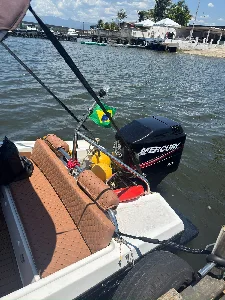 Clique para visualizar Launch 20