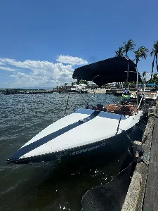 Clique para visualizar Launch 20