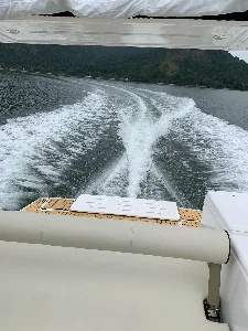 Clique para visualizar REAL 270 OPEN