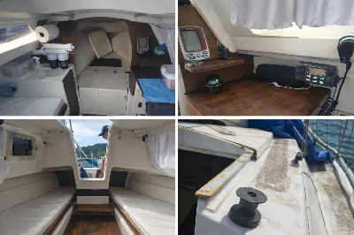 Clique para visualizar Alpha 202