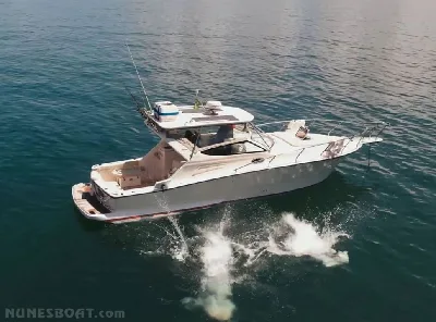 Clique para visualizar Sedna Fighter 33