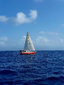 Clique para visualizar Multichine 37