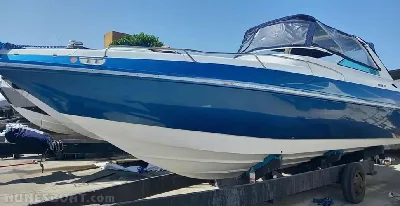 Clique para visualizar Real Hawk 32