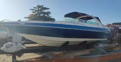 Clique para visualizar Real Hawk 32