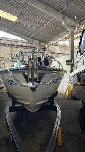 Clique para visualizar Panther 33