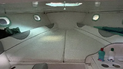 Clique para visualizar Panther 33