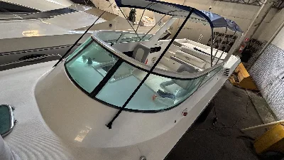 Clique para visualizar Panther 33