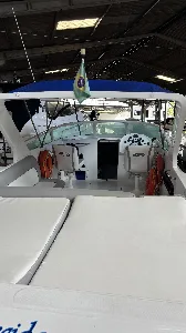 Clique para visualizar Panther 33