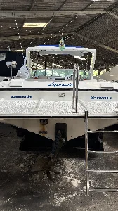 Clique para visualizar Panther 33