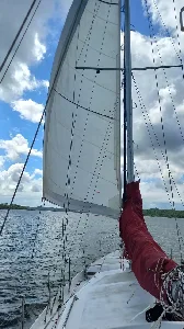 Clique para visualizar NEOZELANDÊS 48 PÉS (BANDEIRA BRASILEIRA) – 1986