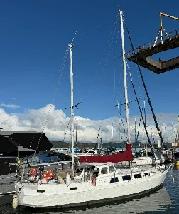 Clique para visualizar NEOZELANDÊS 48 PÉS (BANDEIRA BRASILEIRA) – 1986