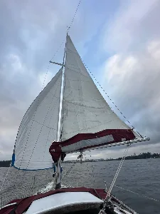 Clique para visualizar Veleiro Inglês Oceânico Sadler 25 1979