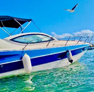 Clique para visualizar REAL POWER 26