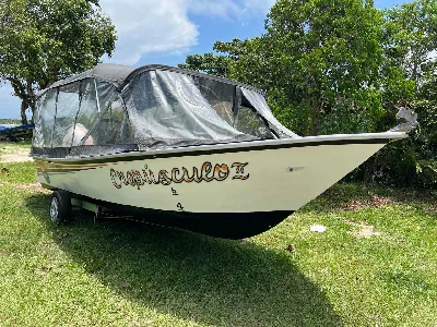 Clique para visualizar Lancha para lazer ou táxi Náutico