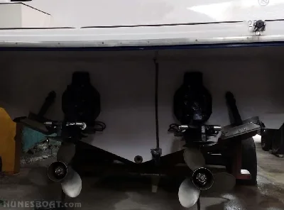 Clique para visualizar Real Hawk 32