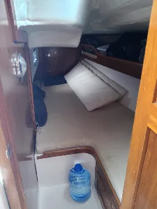 Clique para visualizar Delta 32