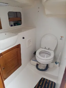 Clique para visualizar Delta 32