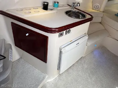 Clique para visualizar Runner 335