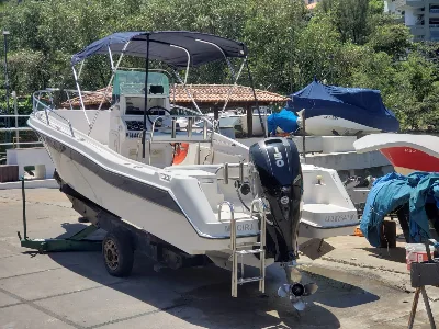 Clique para visualizar Wellcraft 220 CC