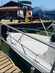 Clique para visualizar Wellcraft 220 CC