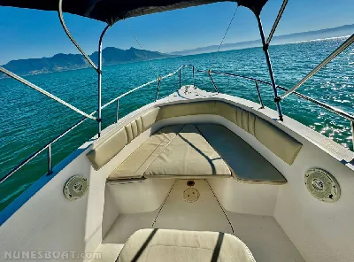 Clique para visualizar Fishing 265