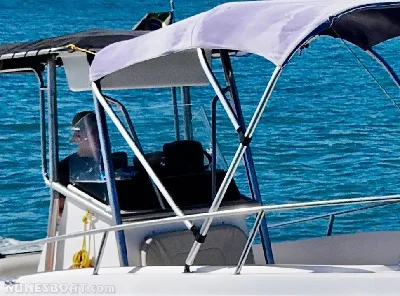 Clique para visualizar Fishing 265